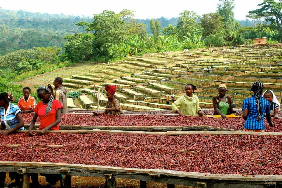 du lịch châu phi nên đi nước nào Khám phá Ethiopia - vùng đất được mệnh danh là trái tim Châu Phi