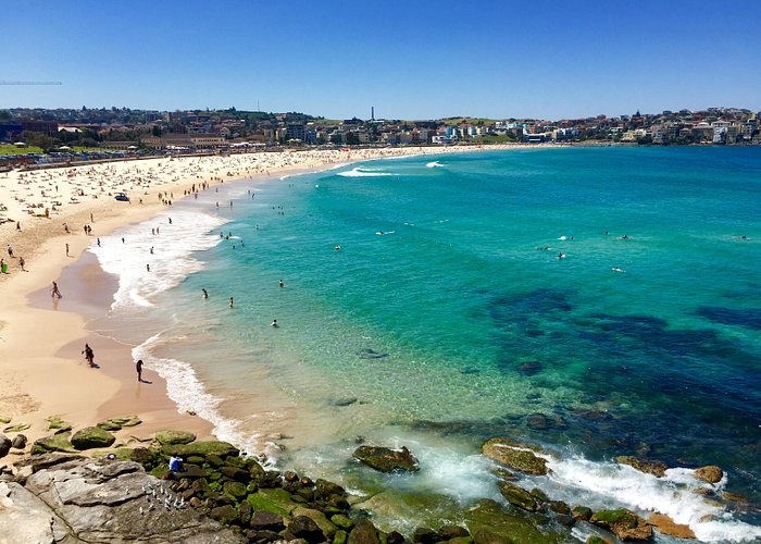 địa điểm du lịch úc New South Wales - địa điểm du lịch Úc không thể bỏ qua khi khám phá xứ sở chuột túi Kangaroo