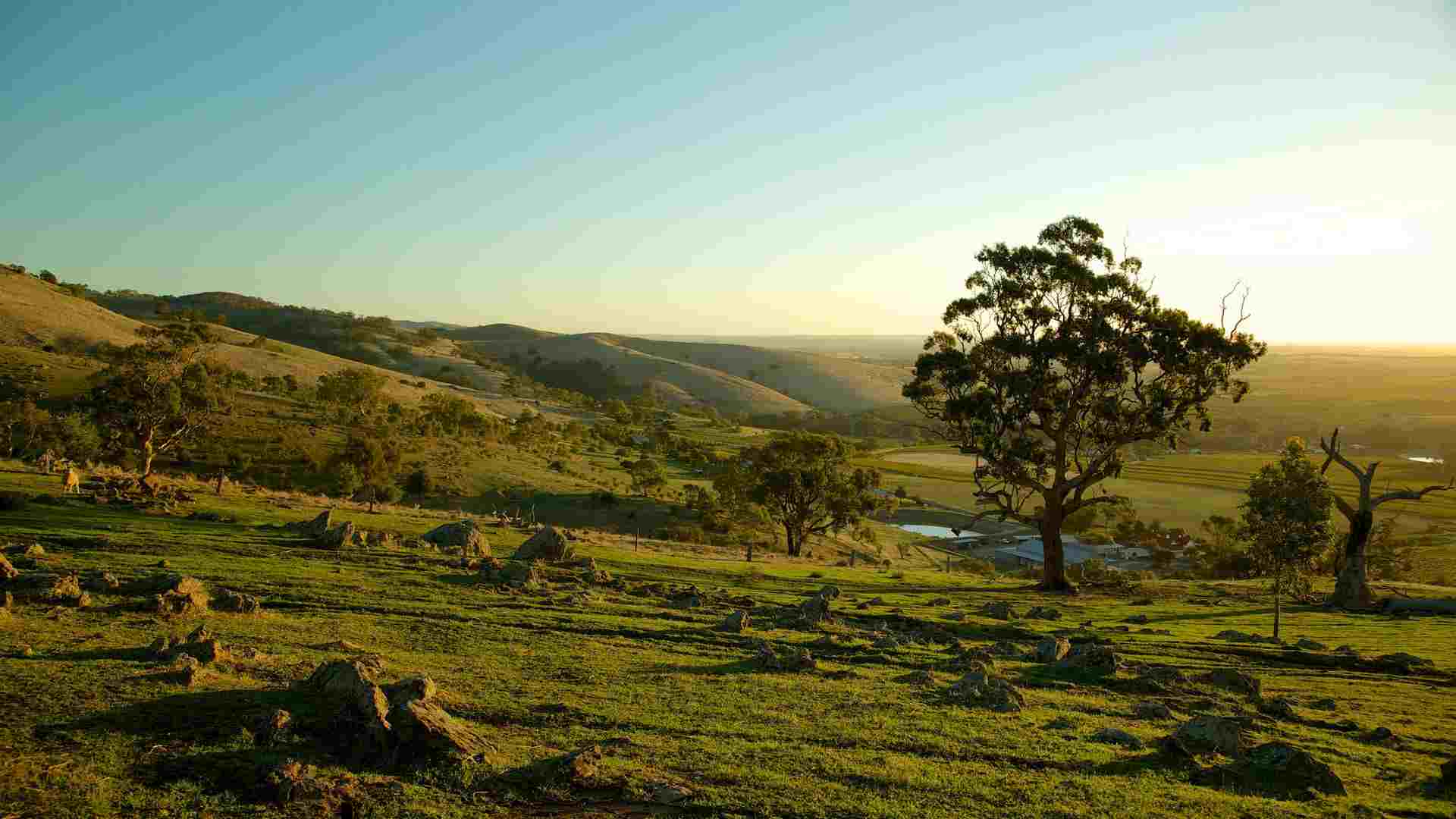 địa điểm du lịch úc Thung lũng Adelaide Hills thanh bình - tận hưởng không khí yên bình trên nước Úc