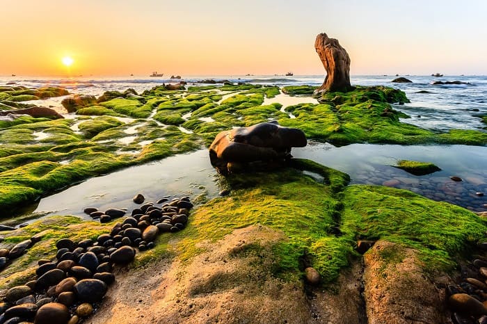 Khám phá vẻ đẹp tựa tranh vẽ và cảm nhận tiếng sóng biển rì rào ở Bãi Biển Cổ Thạch