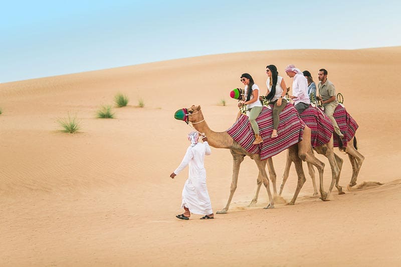 sa mạc sahara Trải nghiệm cưỡi lạc đà thú vị trên sa mạc Sahara