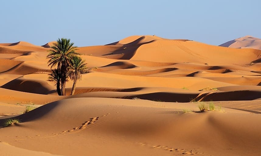 sa mạc sahara Sahara được cho là sa mạc lớn nhất thế giới với diện tích lên đến 9,2 triệu km²