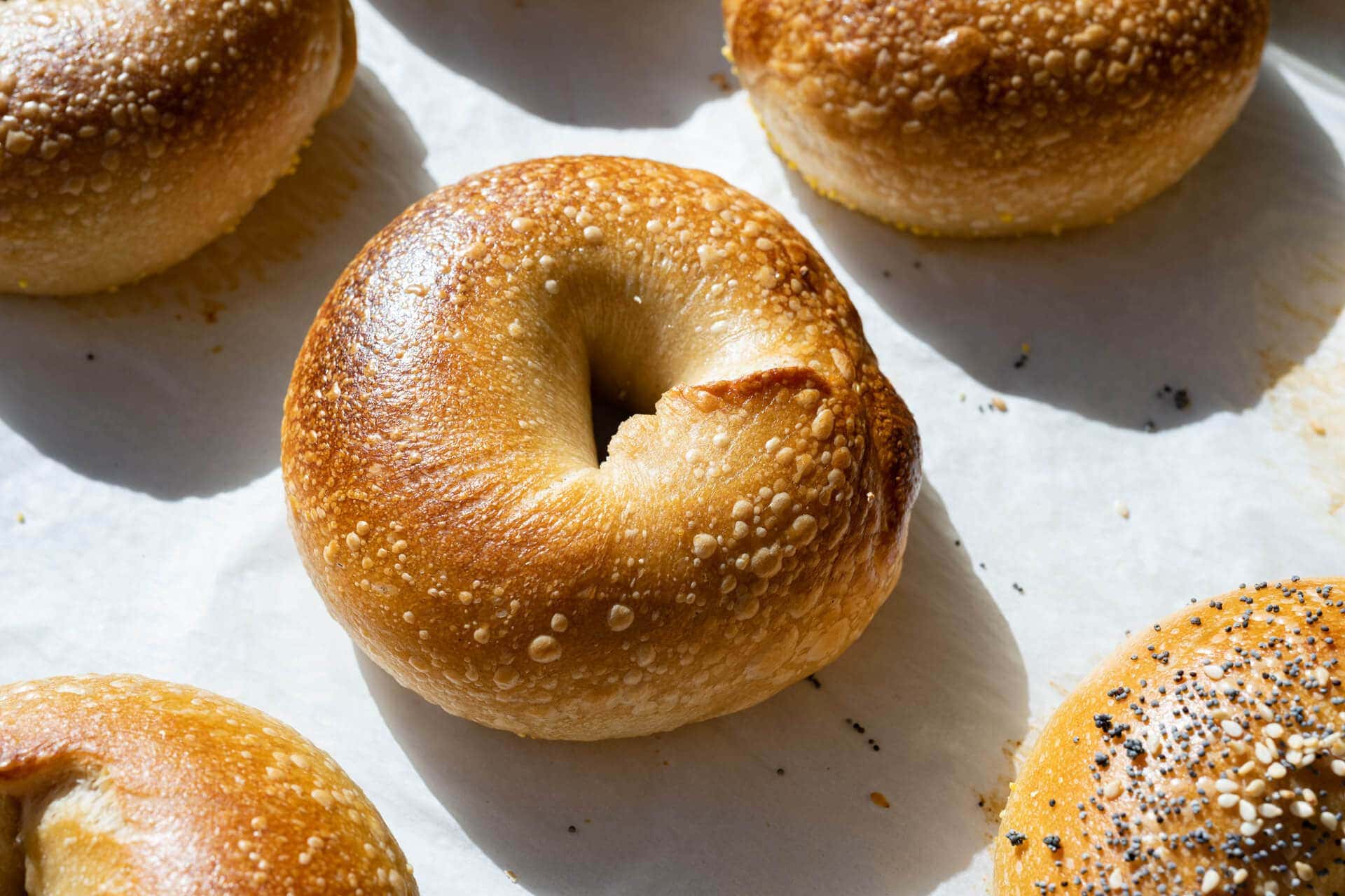 du lịch montreal Bagel Montreal – Bánh mì vòng truyền thống với phong vị riêng biệt hàng thế kỷ