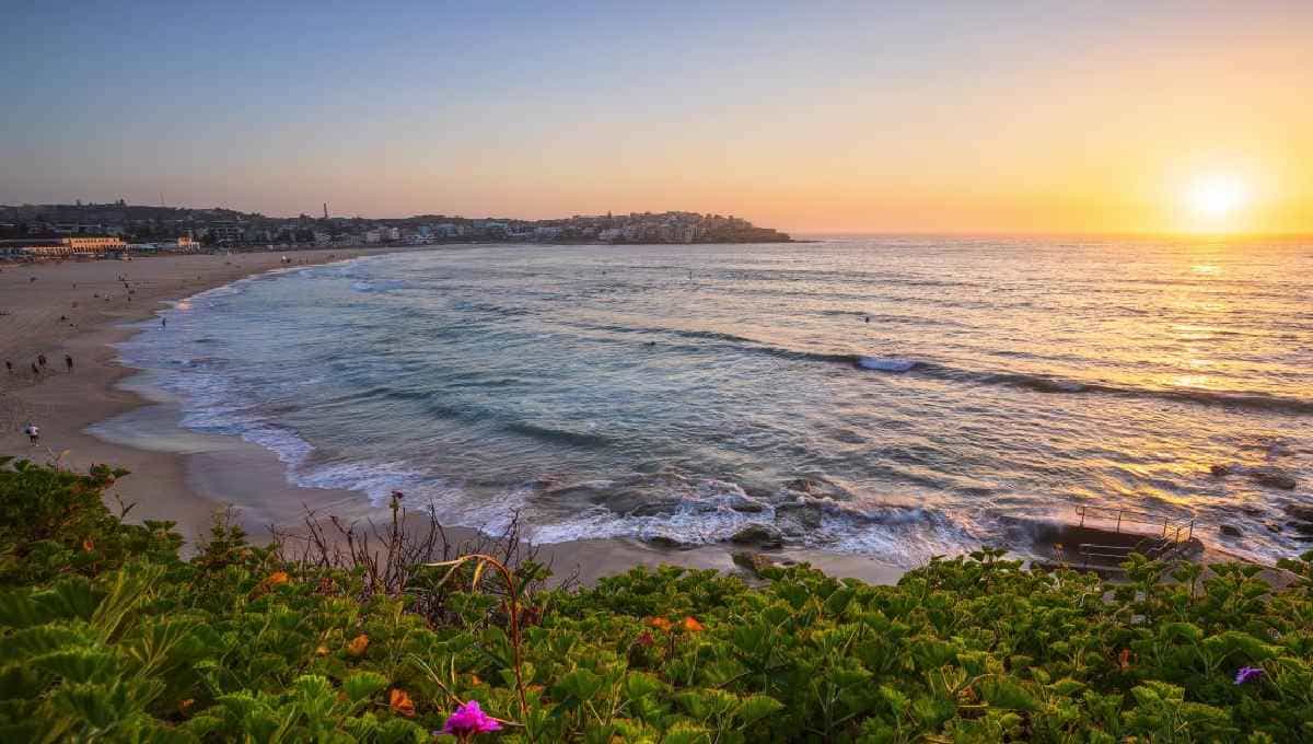 Bãi biển Bondi - điểm đến hấp dẫn và kỳ thú trong chuyến du lịch Sydney