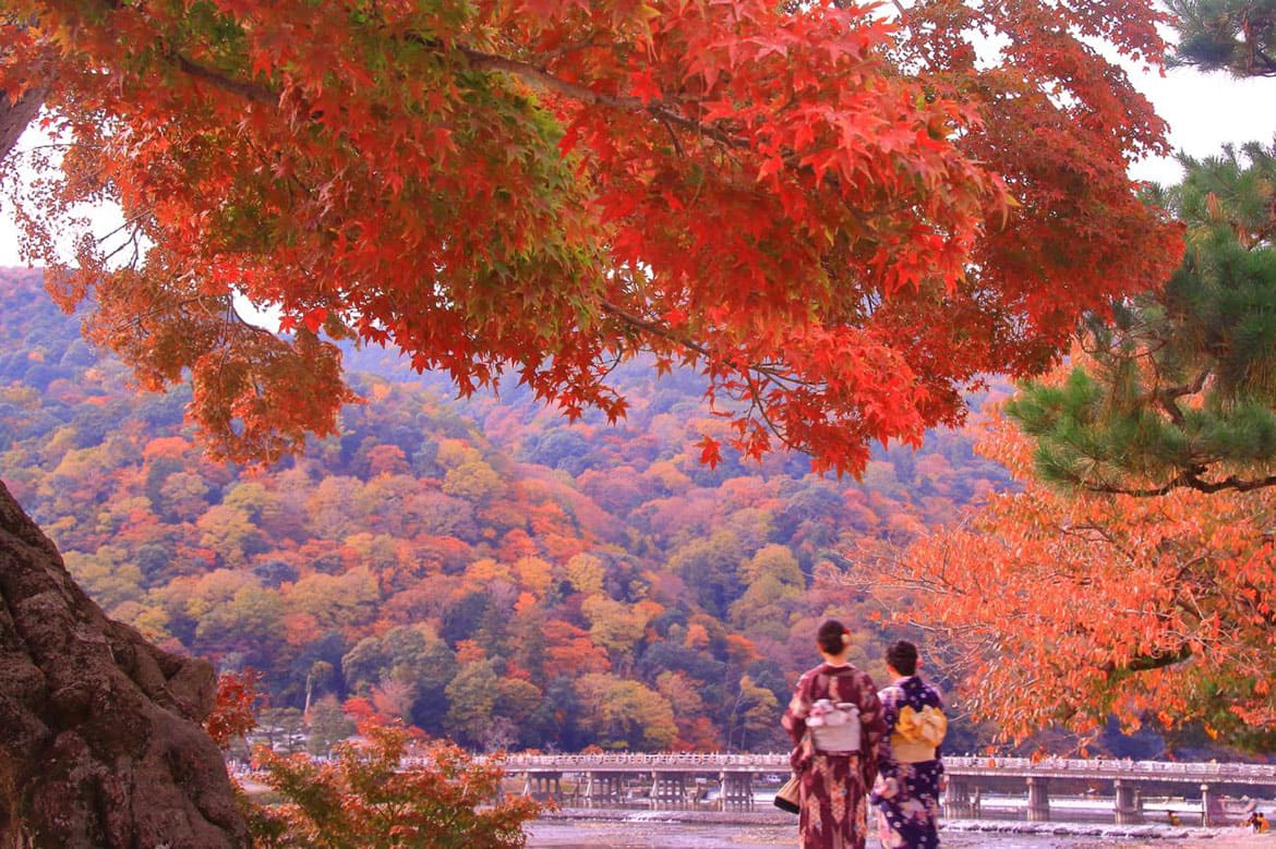 du lịch kyoto mùa thu Bức tranh mùa thu yên bình và lãng mạn ở Kyoto