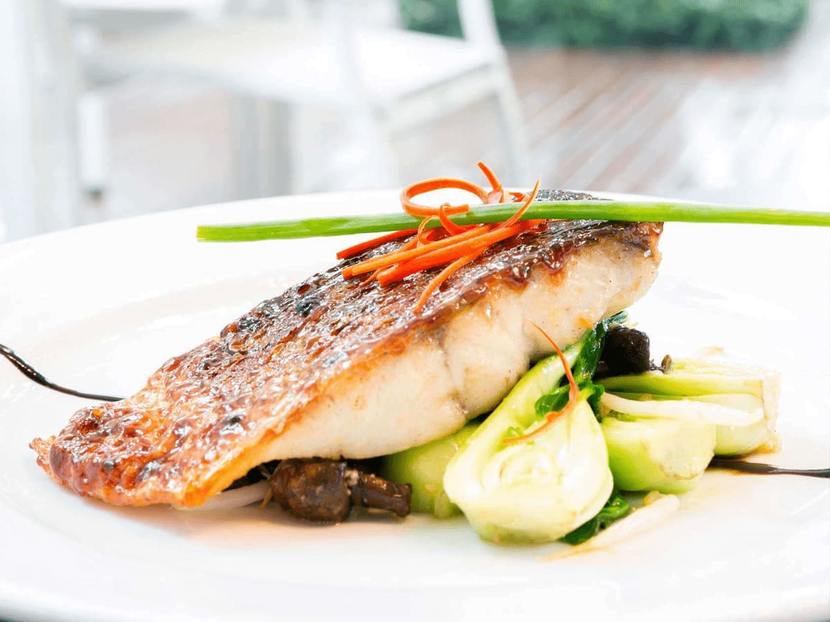 ẩm thực úc Barramundi - món cá chẽm nướng thơm lừng cùng với nước sốt đậm đà cực bắt miệng
