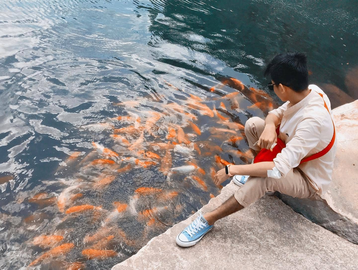 Phóng sanh tại hồ cá chép mang đến cảm giác an lành và thanh tịnh cho tâm hồn