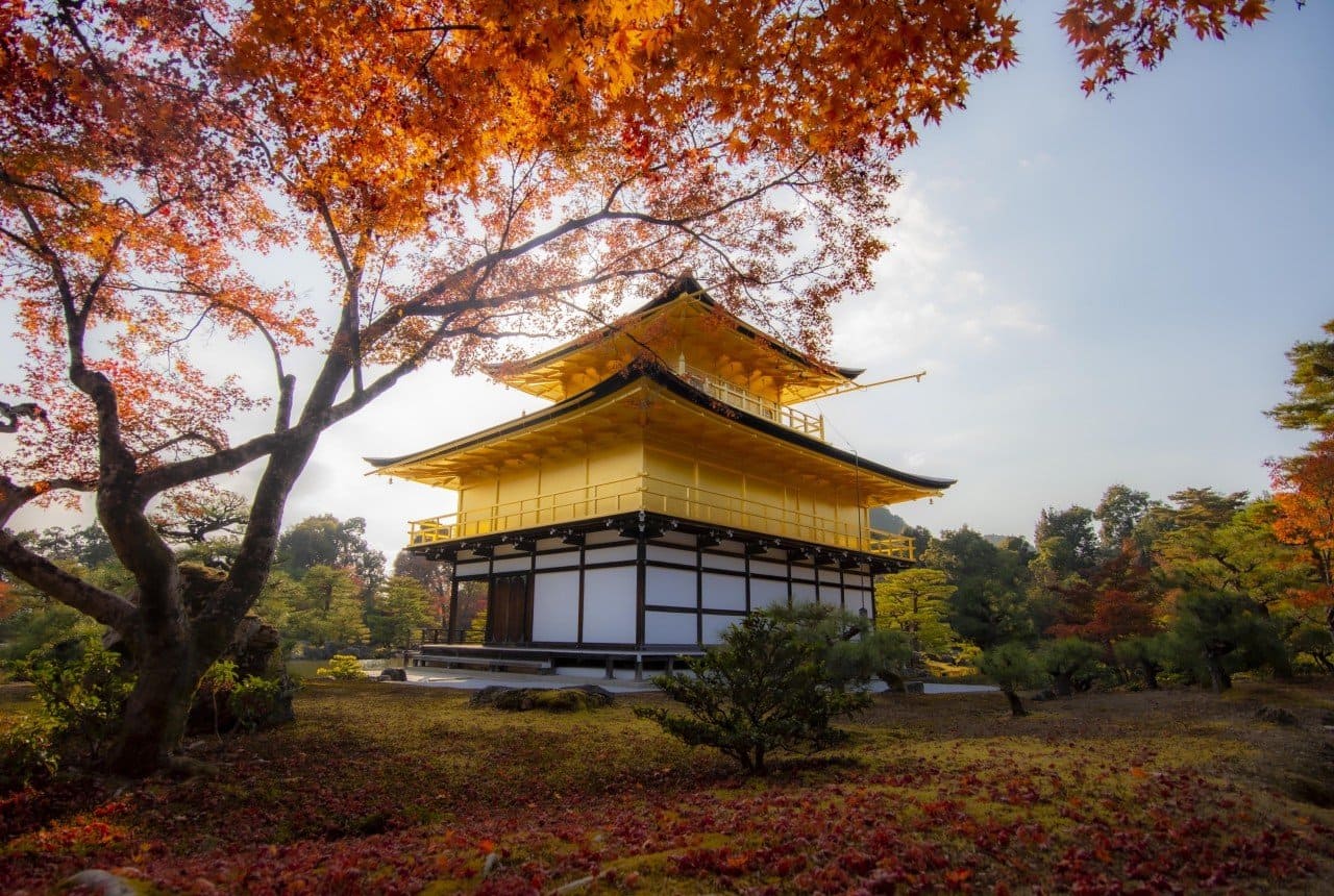 du lịch kyoto mùa thu Mê mẩn cảnh sắc mùa thu ở chùa vàng Kinkakuji