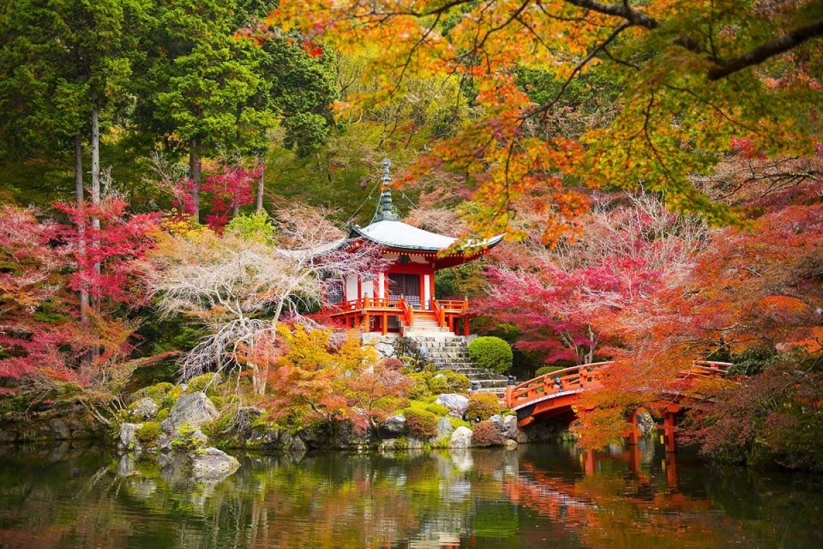 du lịch kyoto mùa thu Chùa Daigo-ji cổ kính và không gian thanh bình giữa sắc thu rực rỡ