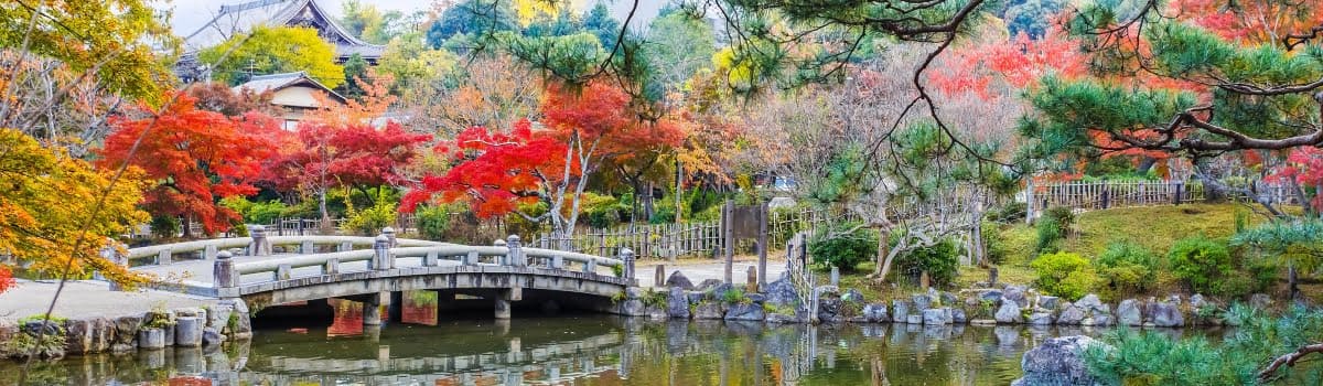 du lịch kyoto mùa thu Công viên Kameyama - điểm đến không thể bỏ lỡ khi du lịch Kyoto mùa thu
