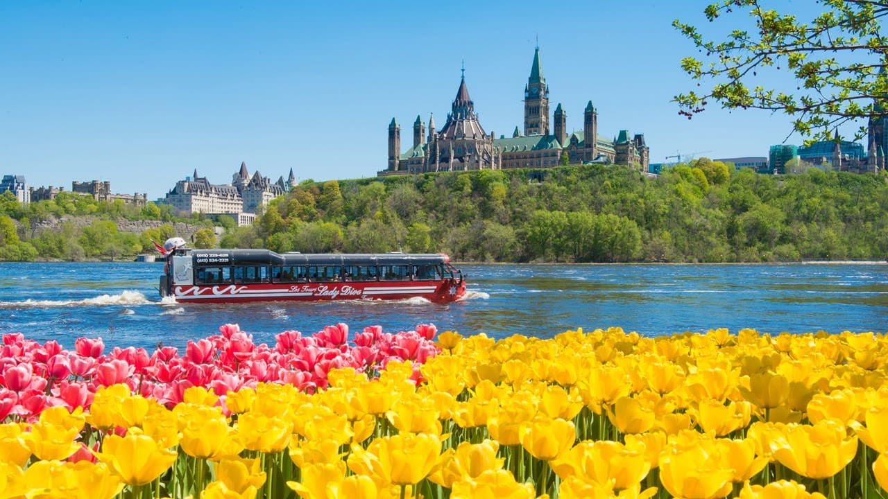 du lịch ottawa Thời điểm tốt nhất để du lịch Ottawa là từ tháng 3 đến tháng 5, khi khí hậu mát mẻ và hoa nở rực rỡ, tạo nên khung cảnh tuyệt đẹp