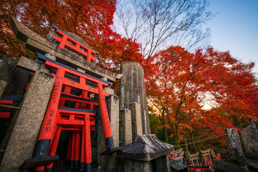 du lịch kyoto mùa thu Tận hưởng không gian yên tĩnh tại đền Fushimi Inari-taisha vào mùa thu