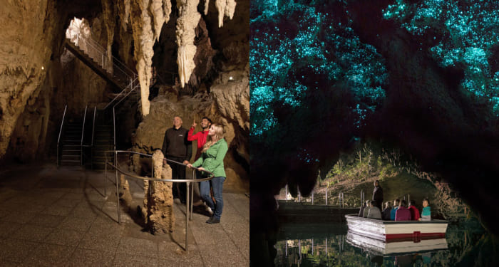 Hang động Waitomo gây ấn tượng những hang đá vôi phát sáng dưới màn đêm huyền diệu