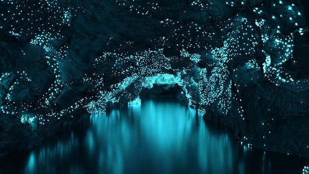 Khám phá hang động Waitomo: Kỳ quang phát sáng ở New Zealand