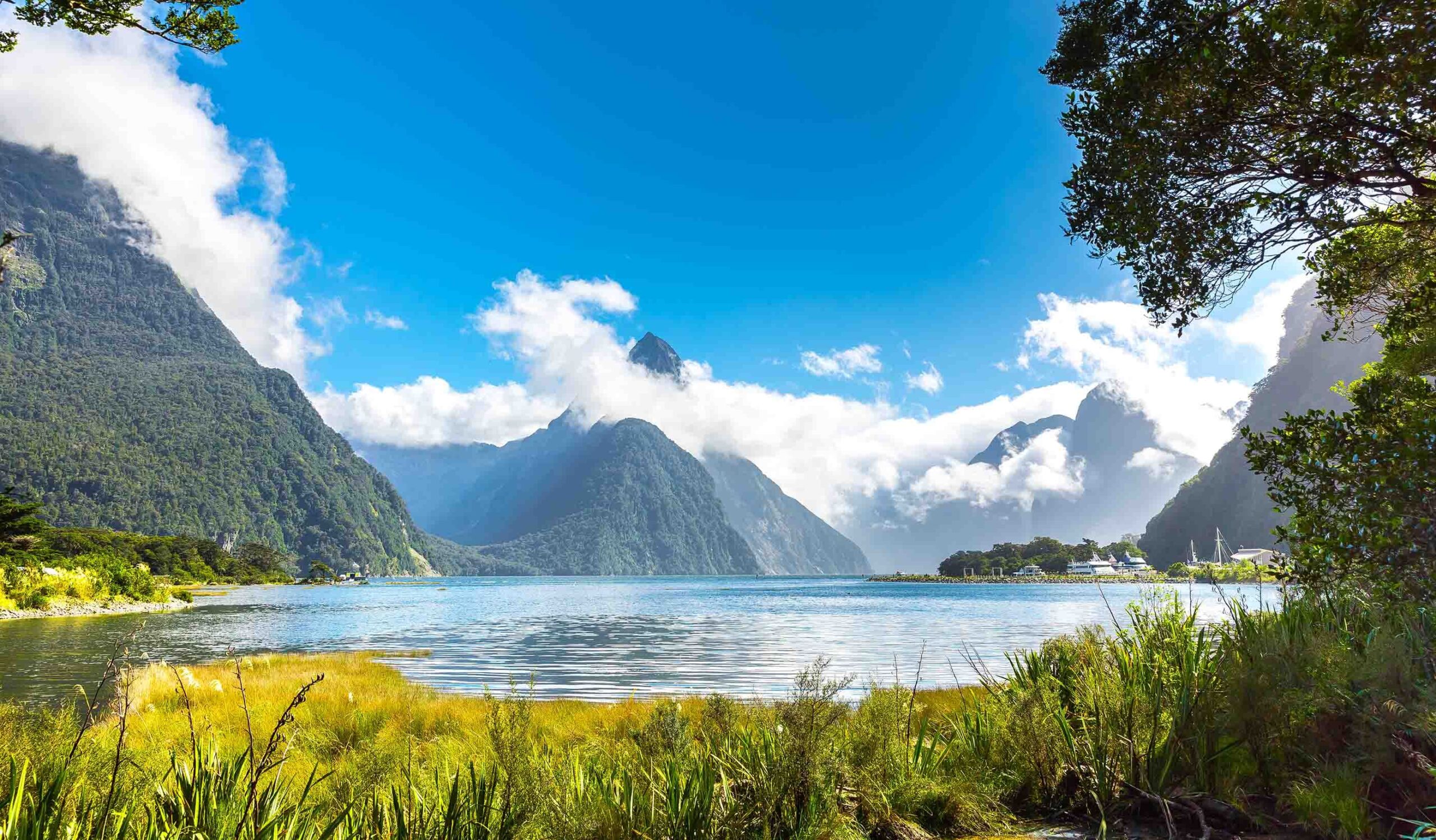 milford sound Chiêm ngưỡng bức tranh sơn thủy tráng lệ và kỳ vy khi du lịch New Zealand