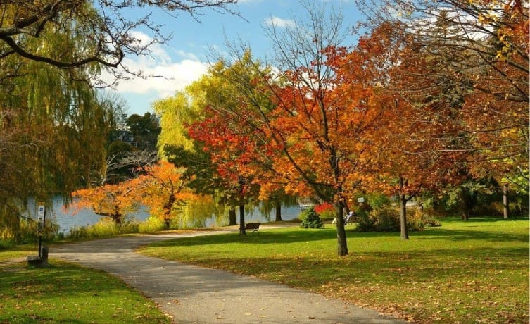 du lịch toronto tự túc Khi du lịch Toronto tự túc bạn nên kiểm tra khí hậu cũng như thời tiết để mang theo trang phục phù hợp