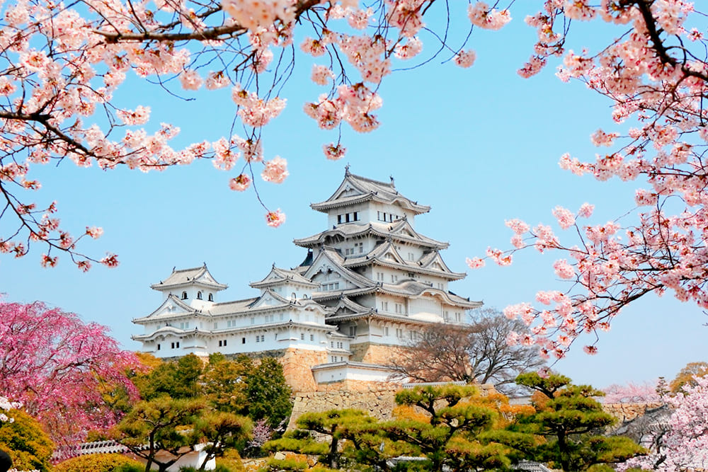 Ngắm nhìn vẻ đẹp lộng lẫy của lâu đài hạc trắng Himeji đầy mê hoặc