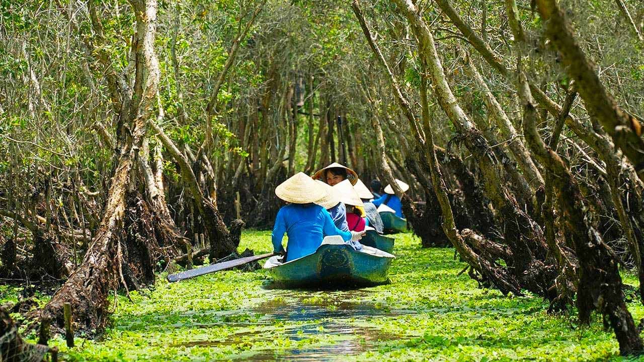 Len lỏi qua những kênh rạch uốn lượn giữa rừng tràm bạt ngàn