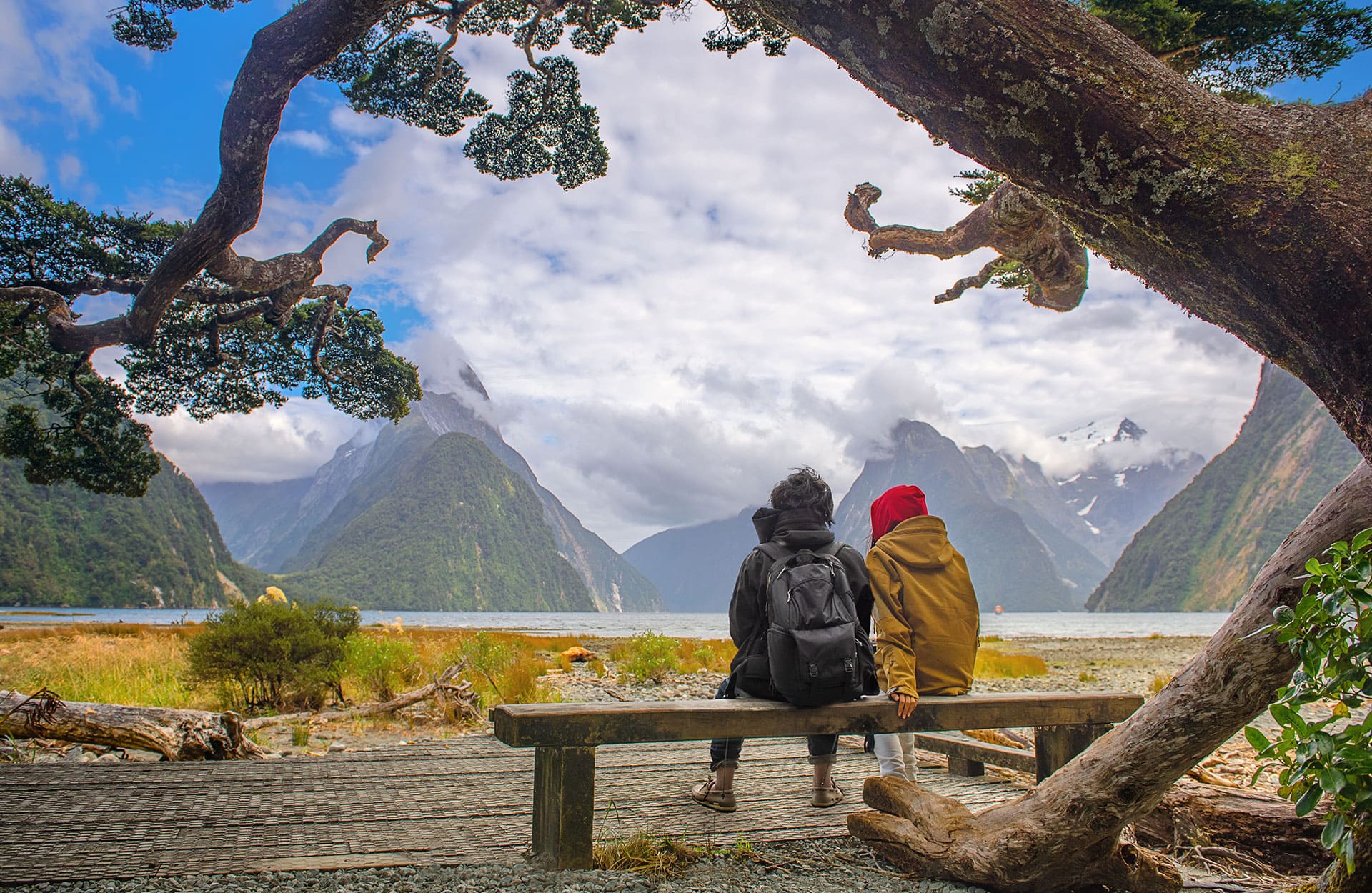milford sound Mùa hè (tháng 12 – tháng 2) là thời điểm lý tưởng để check-in và khám phá vịnh Milford Sound