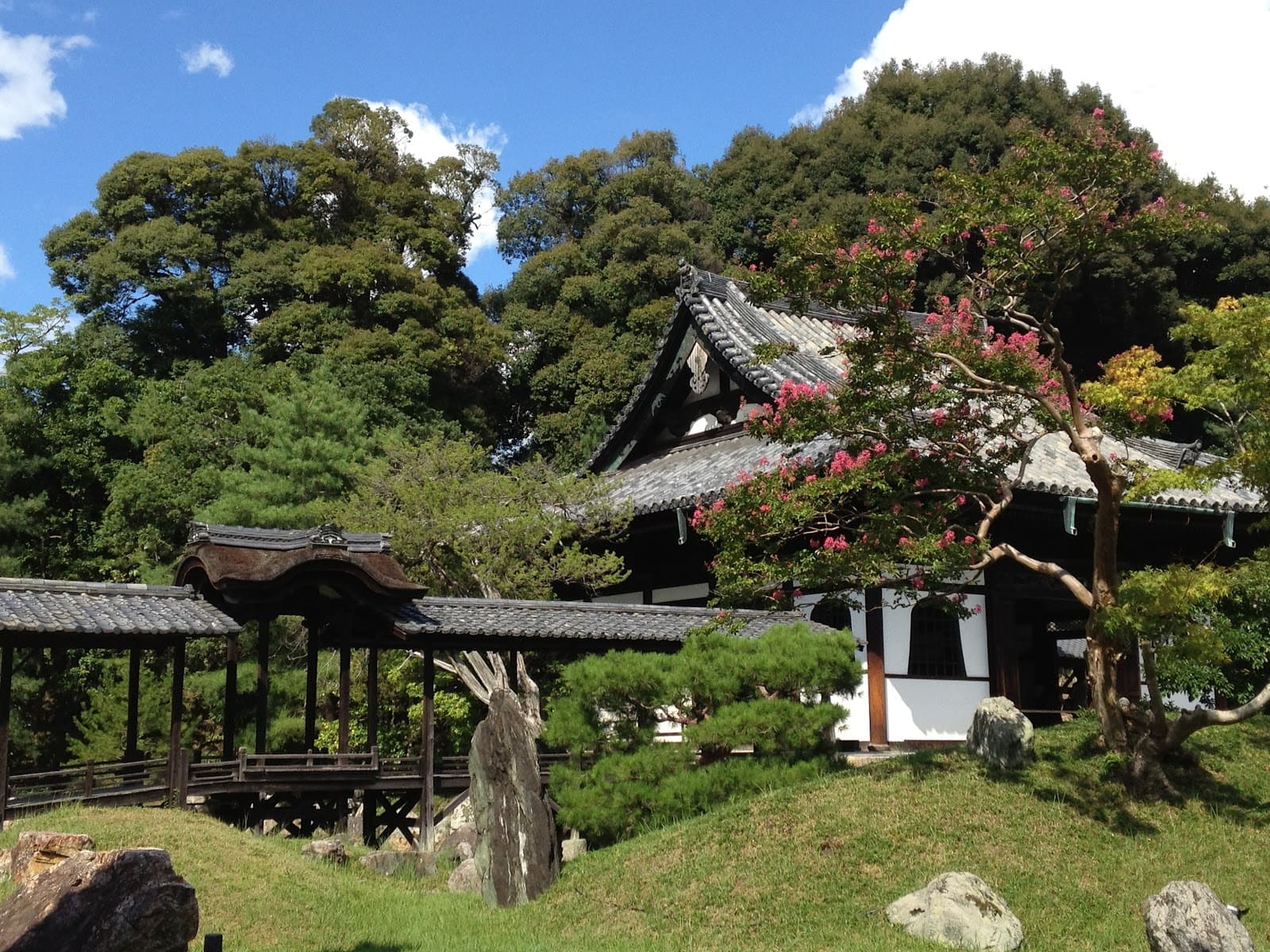 Kodai-ji thường mở cửa từ 9 giờ sáng đến 17 giờ chiều mỗi ngày