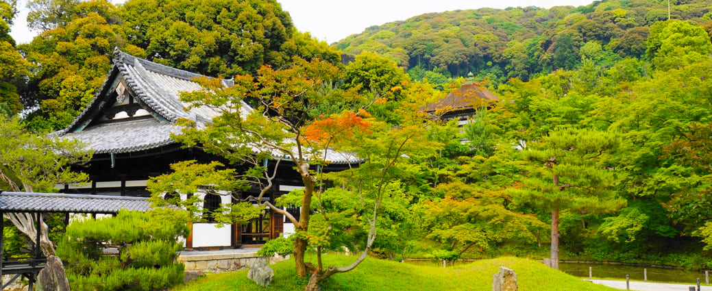 Kodaiji Temple - Viên ngọc giữa những ngôi chùa cổ kính của Kyoto