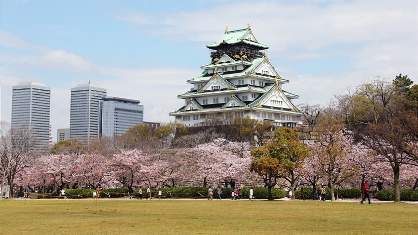 mùa hoa anh đào nhật bản Công viên Osaka-jo bừng sáng sắc hoa anh đào, tạo nên khung cảnh xuân tuyệt đẹp