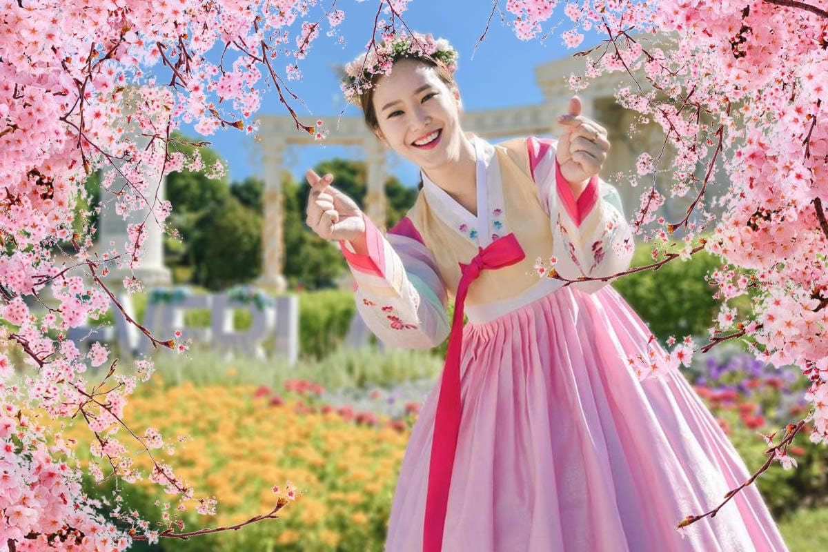 mùa hoa anh đào hàn quốc Tận hưởng khung cảnh thơ mộng và đầy quyến rũ của mùa hoa anh đào Hàn Quốc