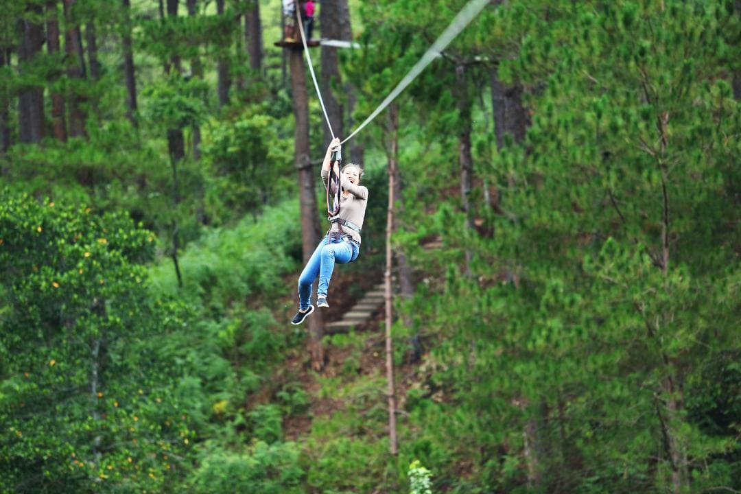 Zipline đưa bạn lơ lửng giữa núi rừng, tận hưởng cảm giác bay đầy phấn khích
