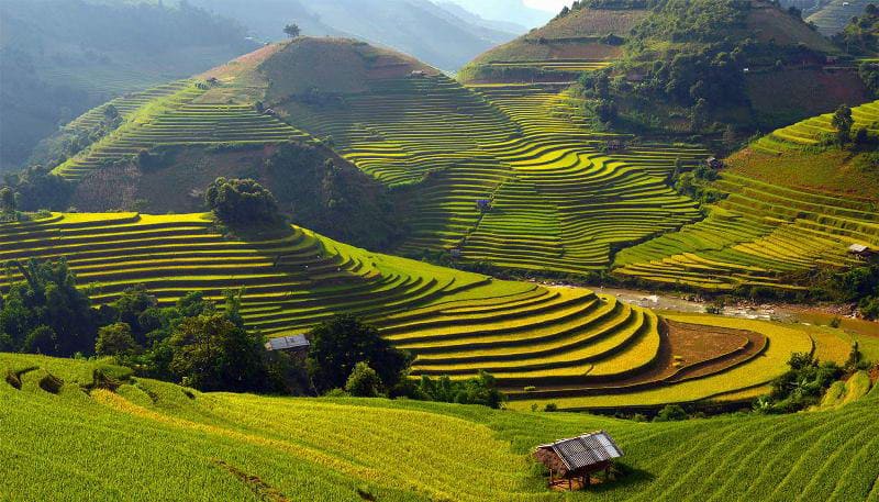 Lao Chải - Tả Van mang vẻ đẹp yên bình với ruộng bậc thang và bản làng dân tộc