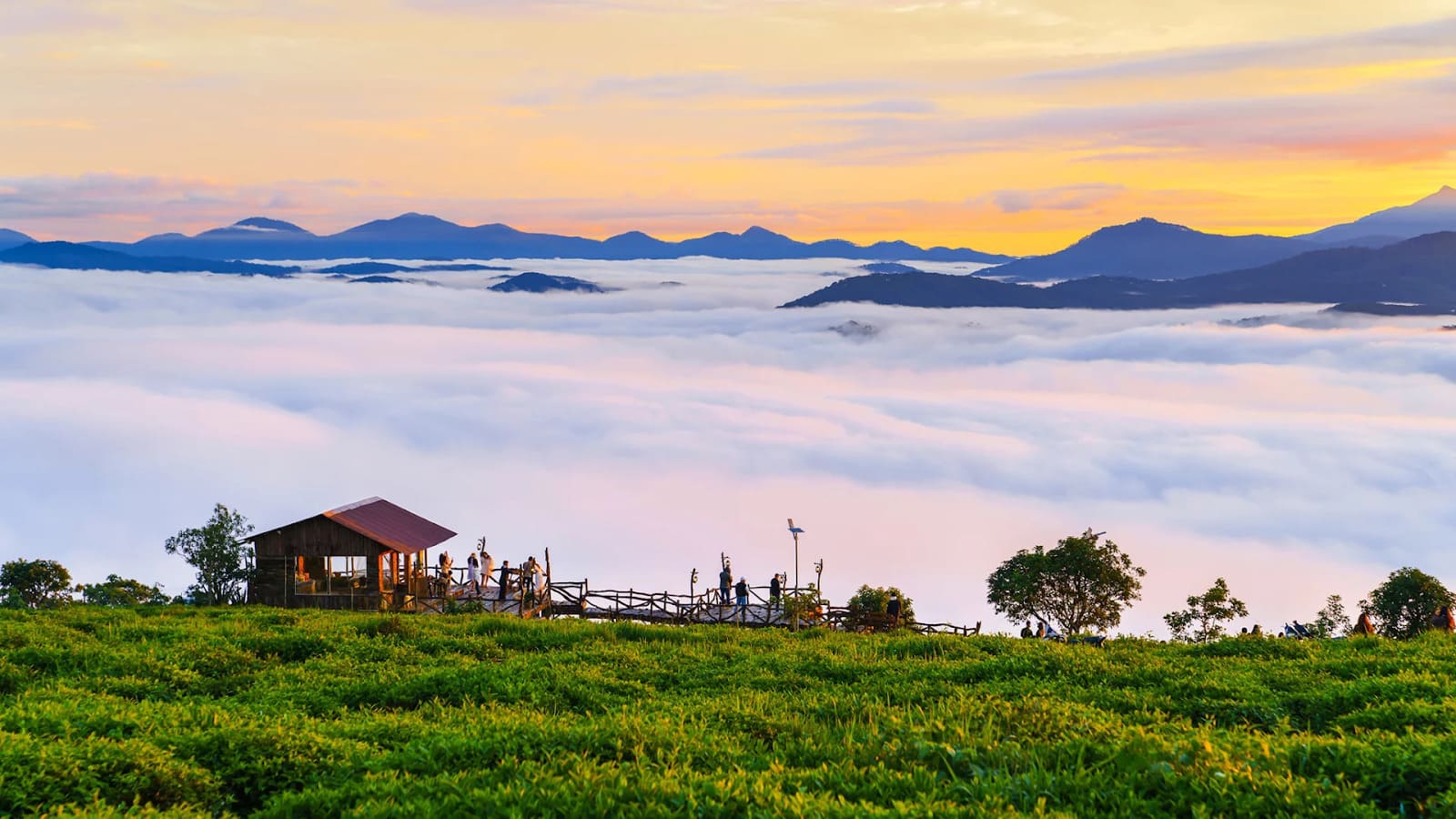 đồi chè cầu đất Săn mây đồi chè Cầu Đất – khoảnh khắc bồng bềnh giữa biển mây thơ mộng