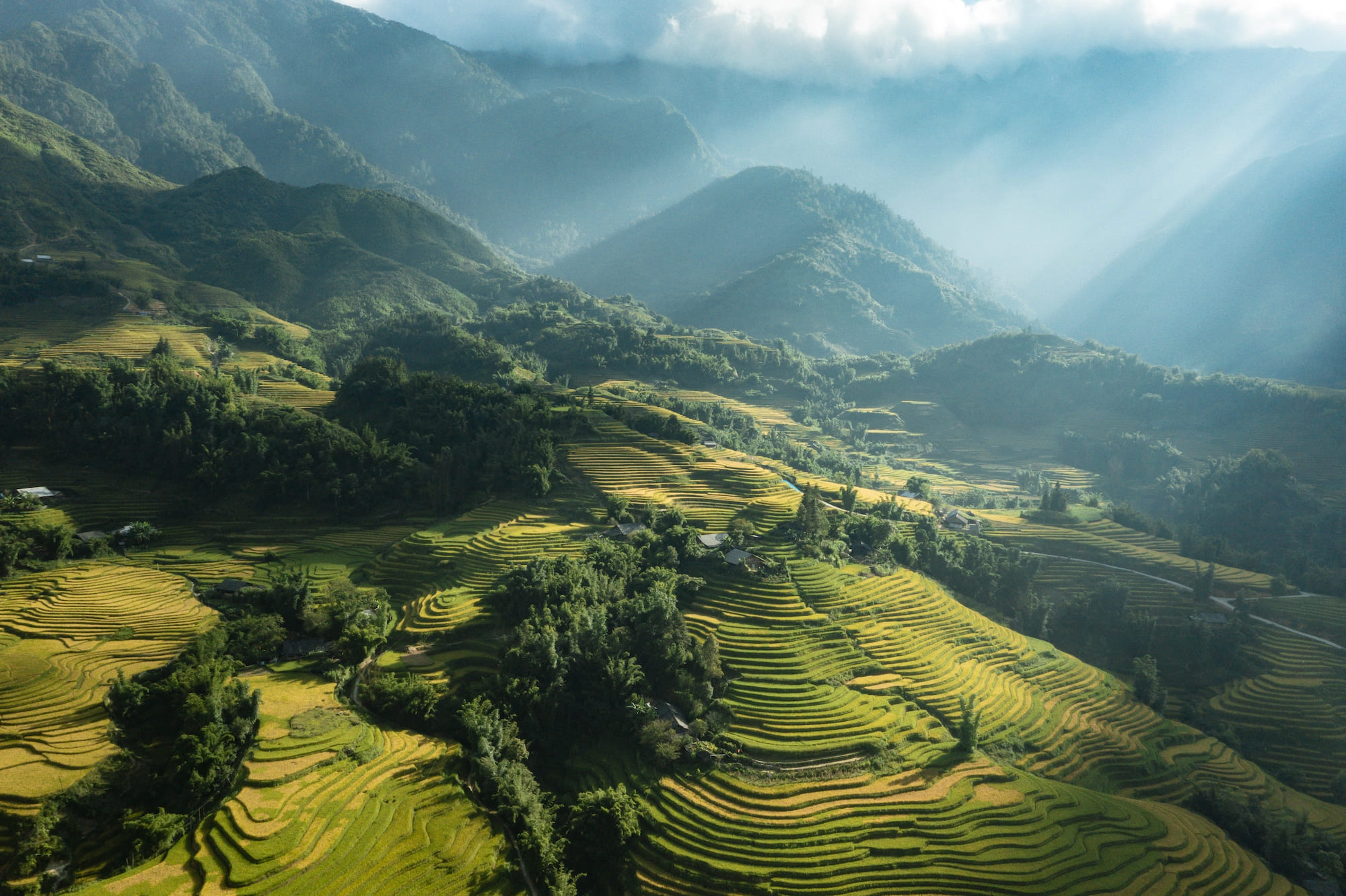 Mùa hè Sapa mát mẻ, xanh tươi, lý tưởng để tránh nóng và khám phá thiên nhiên