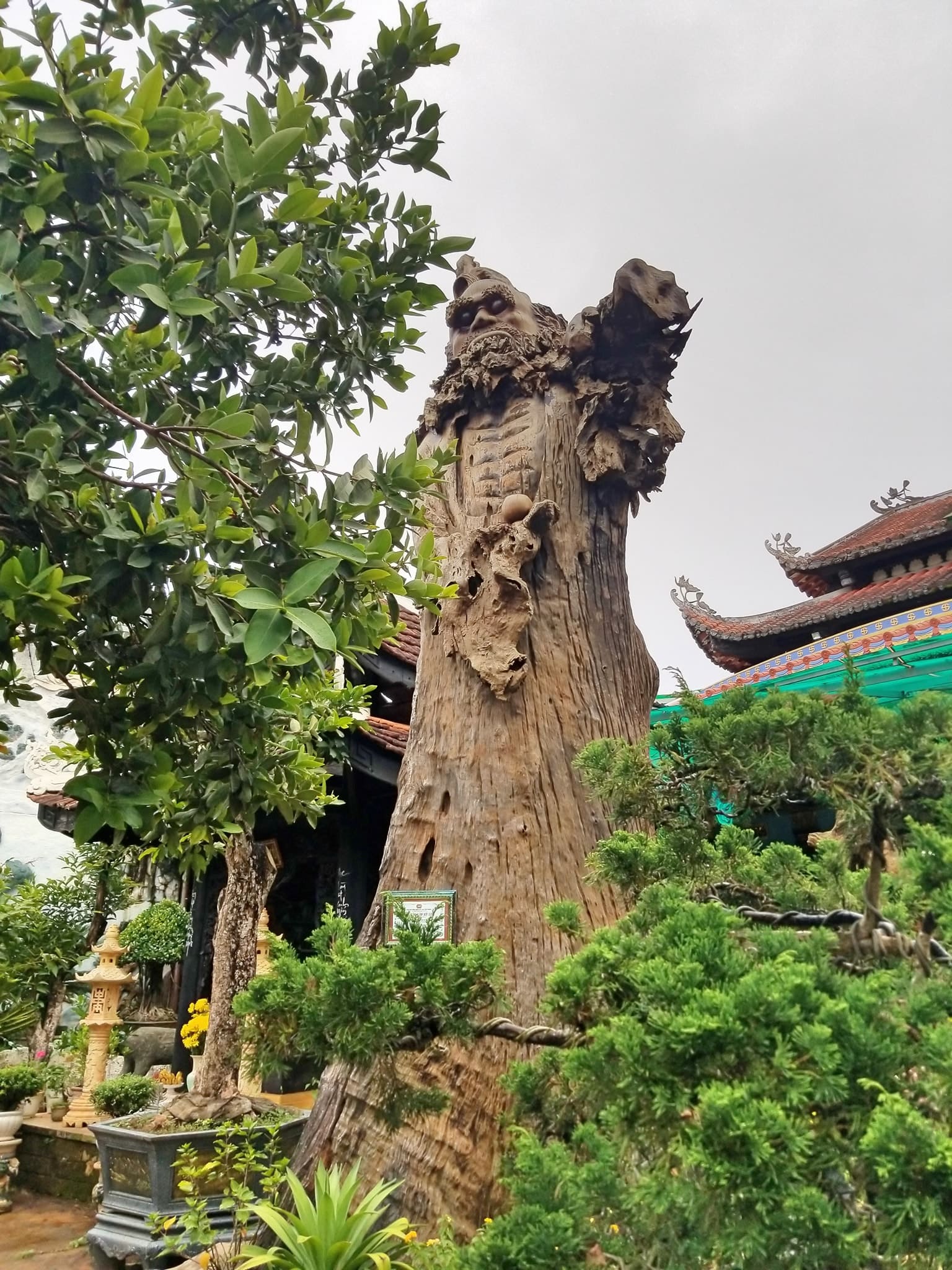 Tượng Bồ Đề Đạt Ma bằng gỗ lớn nhất Việt Nam