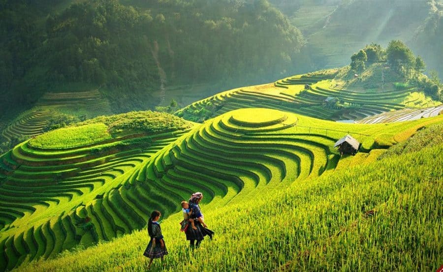 tháng 7 nên đi du lịch ở đâu Sapa tháng 7 xanh mát, ruộng bậc thang vào mùa đẹp nhất