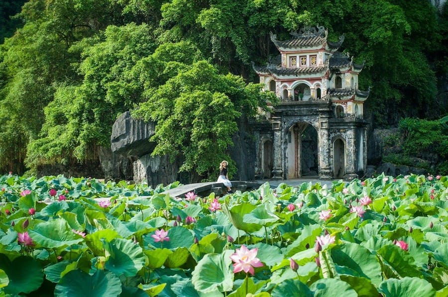 tháng 7 nên đi du lịch ở đâu Hà Nội tháng 7 dịu dàng hương sen, tô điểm vẻ đẹp thanh bình của Hồ Tây