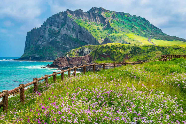 tháng 7 nên đi du lịch ở đâu Đảo Jeju tháng 7 mát mẻ, thích hợp khám phá thiên nhiên độc đáo