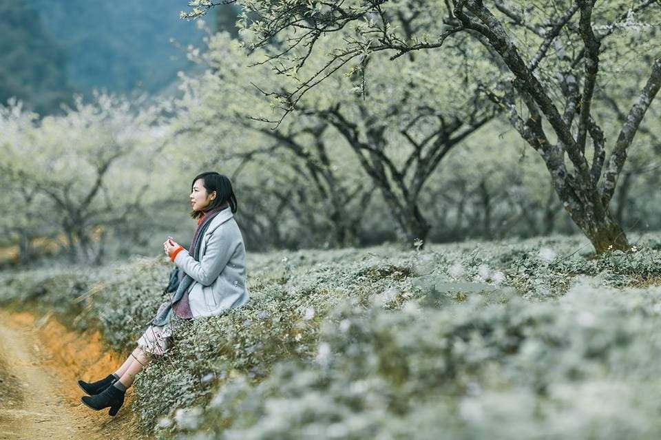 tháng 7 nên đi du lịch ở đâu Mộc Châu tháng 7 mát mẻ, chìm đắm trong sắc hoa nhiệt đới