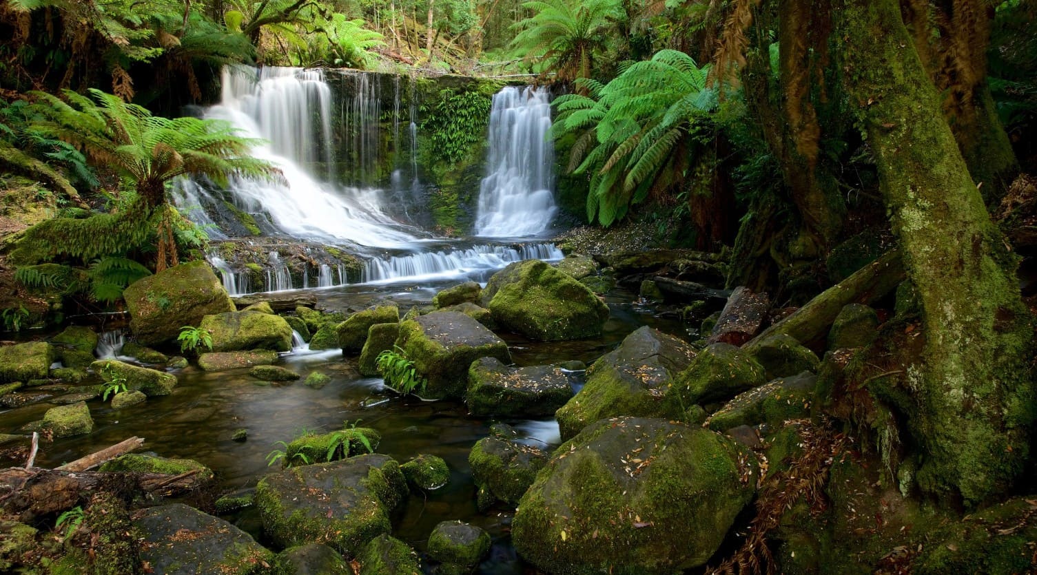 đảo tasmania Công viên Quốc gia Mount Field là thiên đường thiên nhiên của Tasmania