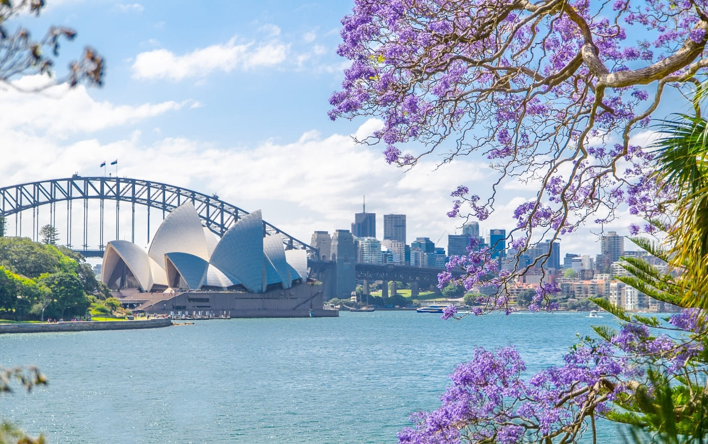 opera sydney Khoảnh khắc vàng để tham quan Nhà hát Con Sò