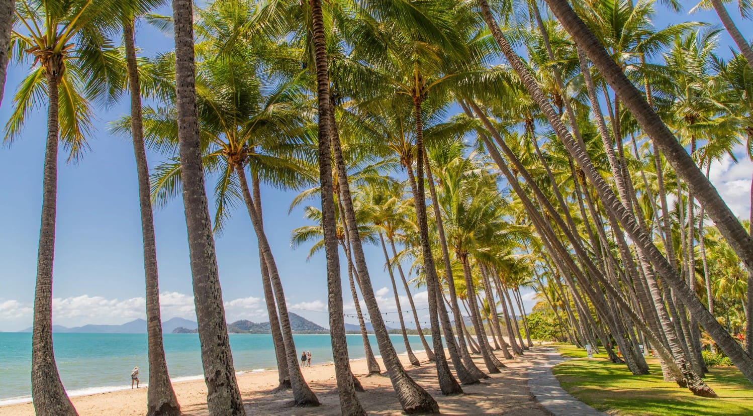Di chuyển đến Palm Cove từ Cairns rất thuận tiện