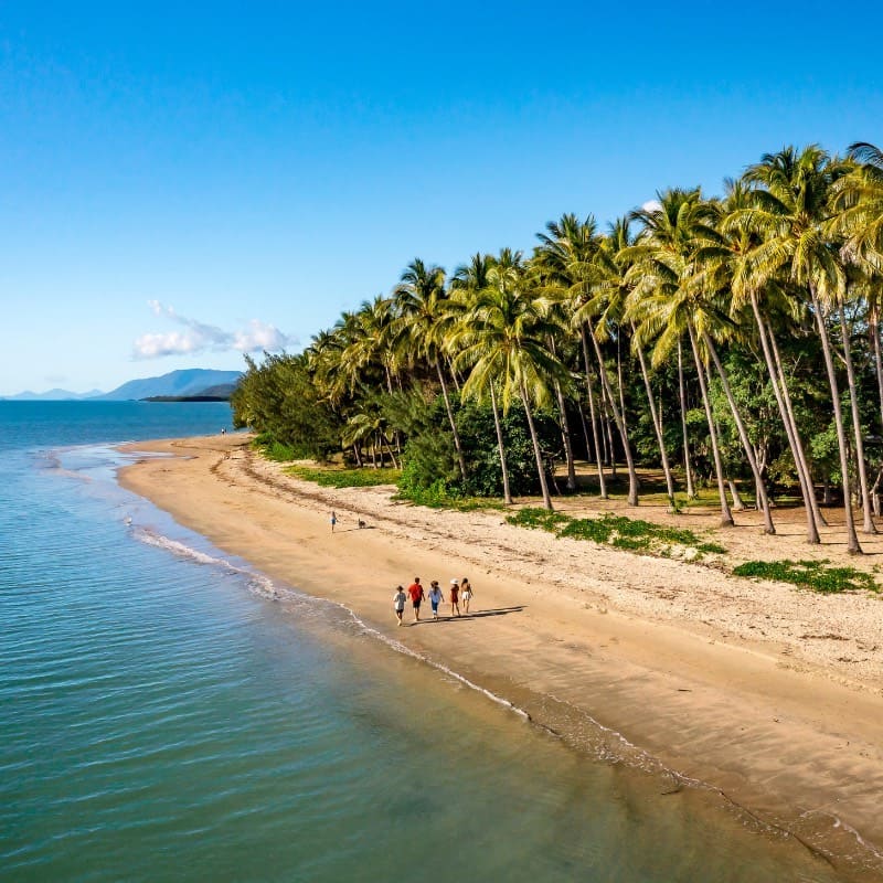 Du khách sẽ trải nghiệm biển, rừng và chợ địa phương tại Palm Cove