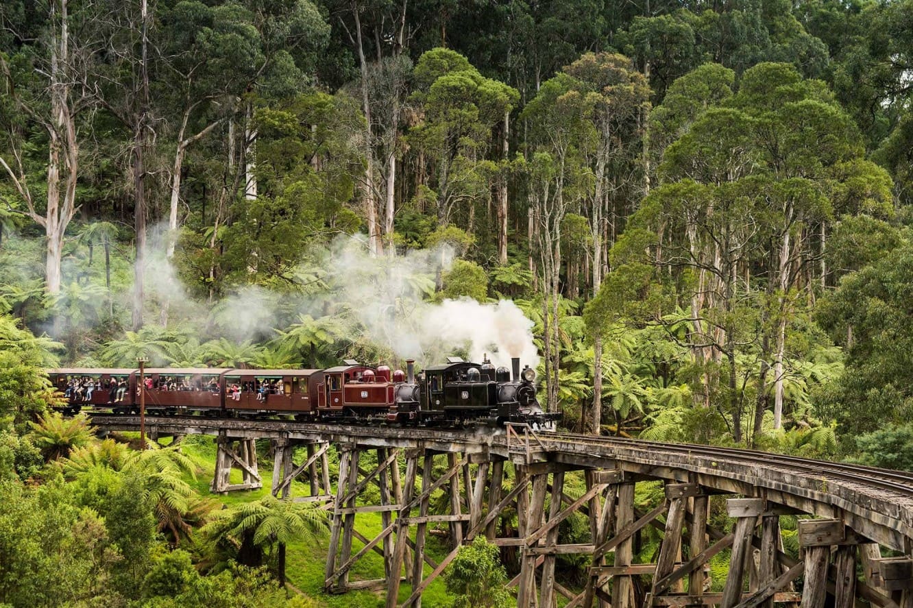 Tàu hơi nước Puffing Billy – chuyến tàu cổ tích xuyên rừng Dandenong