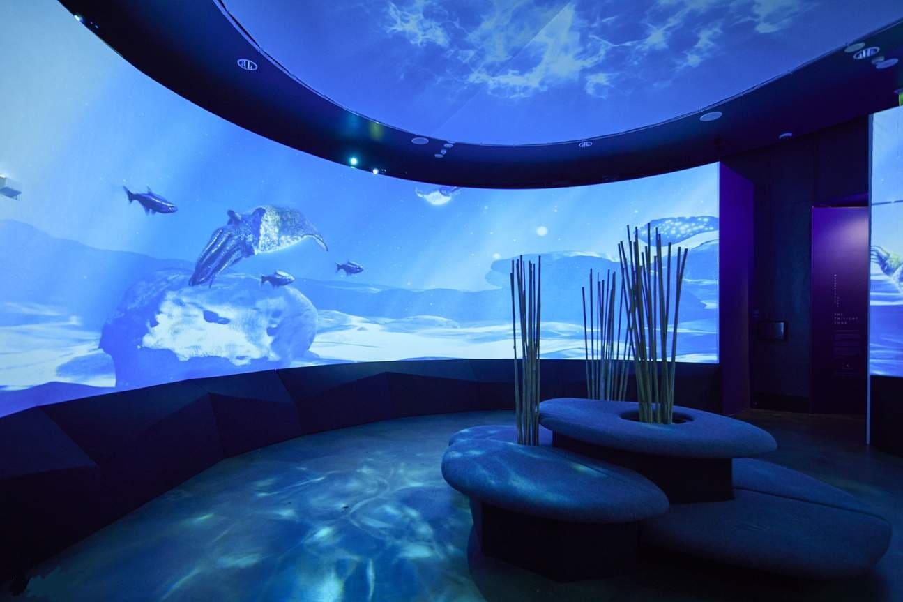 Thủy cung SEA LIFE Melbourne – khám phá thế giới đại dương kỳ thú