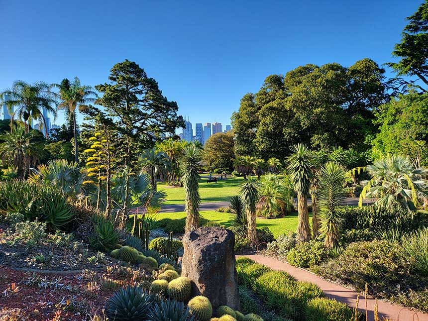 Vườn Thực vật Hoàng gia Melbourne – ốc đảo xanh mát giữa lòng thành phố