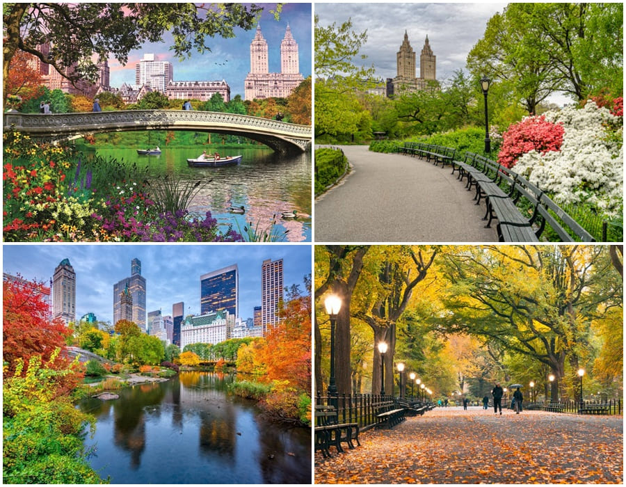 new york Central Park – lá phổi xanh khổng lồ giữa lòng New York, nơi lý tưởng để dạo bộ, picnic và tận hưởng thiên nhiên trong thành phố náo nhiệt