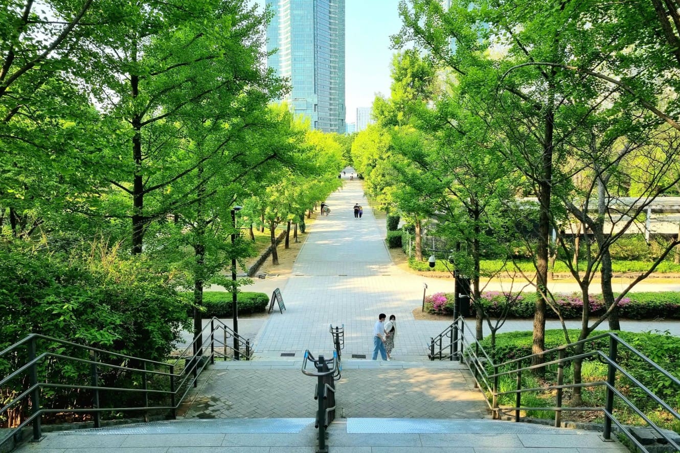 Công viên Forest là lá phổi xanh khổng lồ giữa lòng thành phố Portland