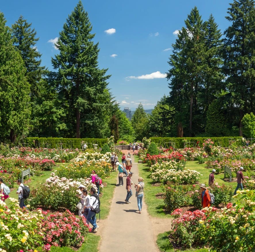 Công viên Washington là không gian xanh yên bình giữa lòng Portland