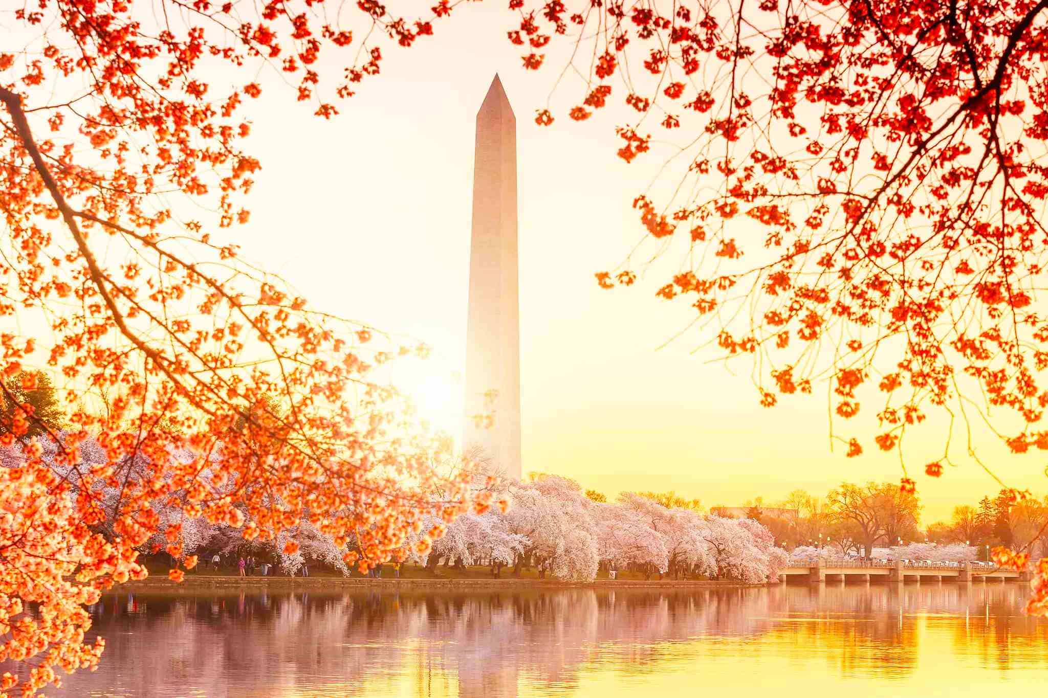 washington d.c Đài tưởng niệm Washington – công trình biểu trưng tôn vinh vị tổng thống đầu tiên của nước Mỹ