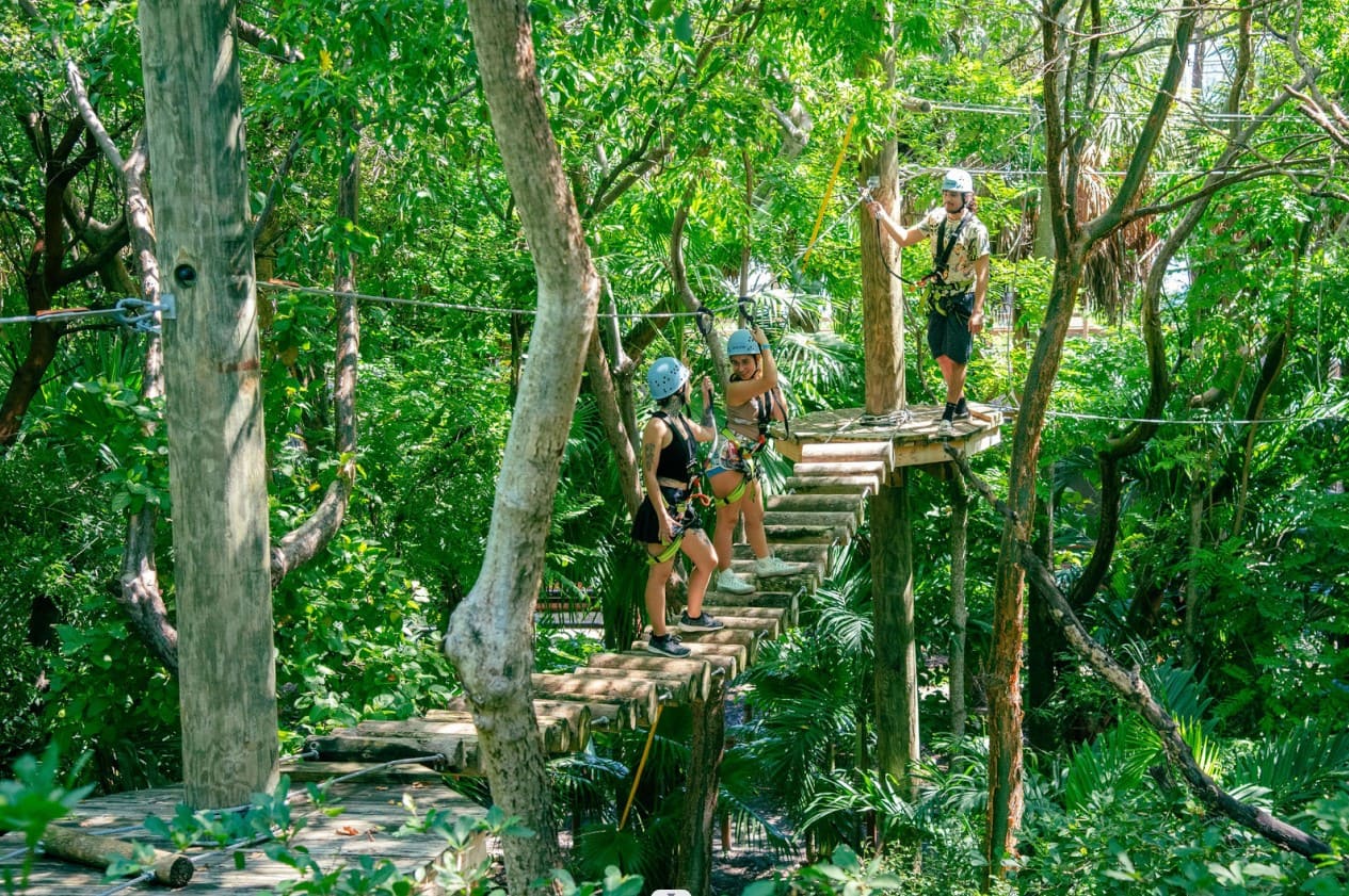miami Jungle Island – công viên sinh thái độc đáo, nơi du khách hòa mình vào thiên nhiên và khám phá thế giới động vật kỳ thú