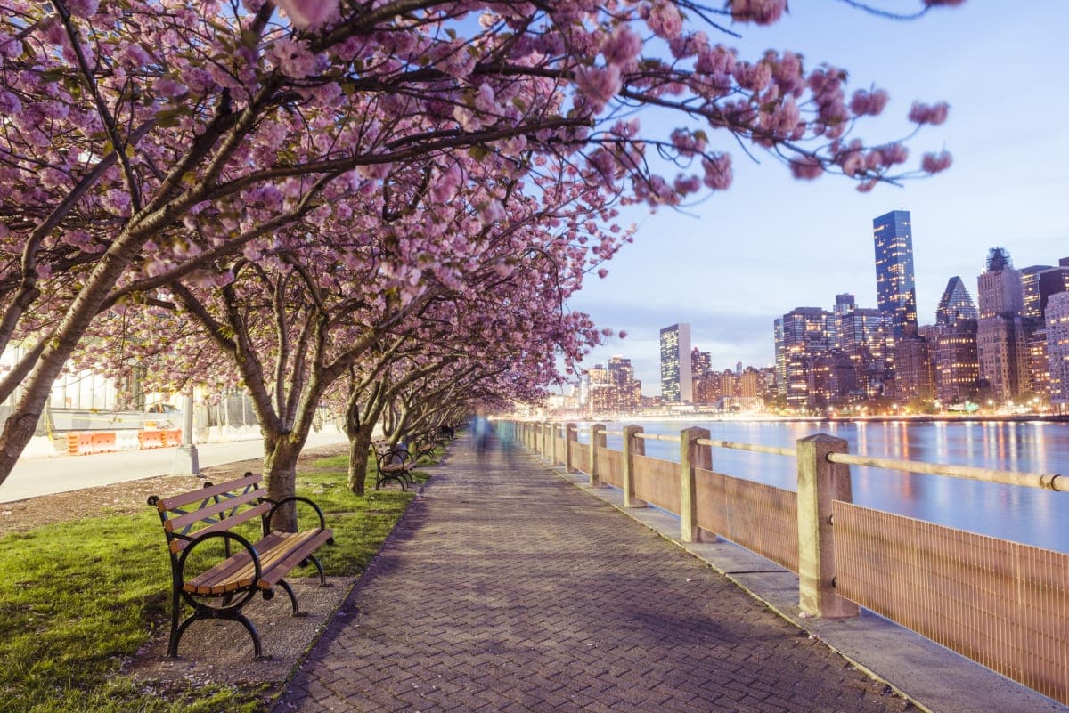 new york Mùa xuân New York rực rỡ với sắc hoa anh đào và không khí trong lành, mang đến cảm giác tươi mới cho du khách