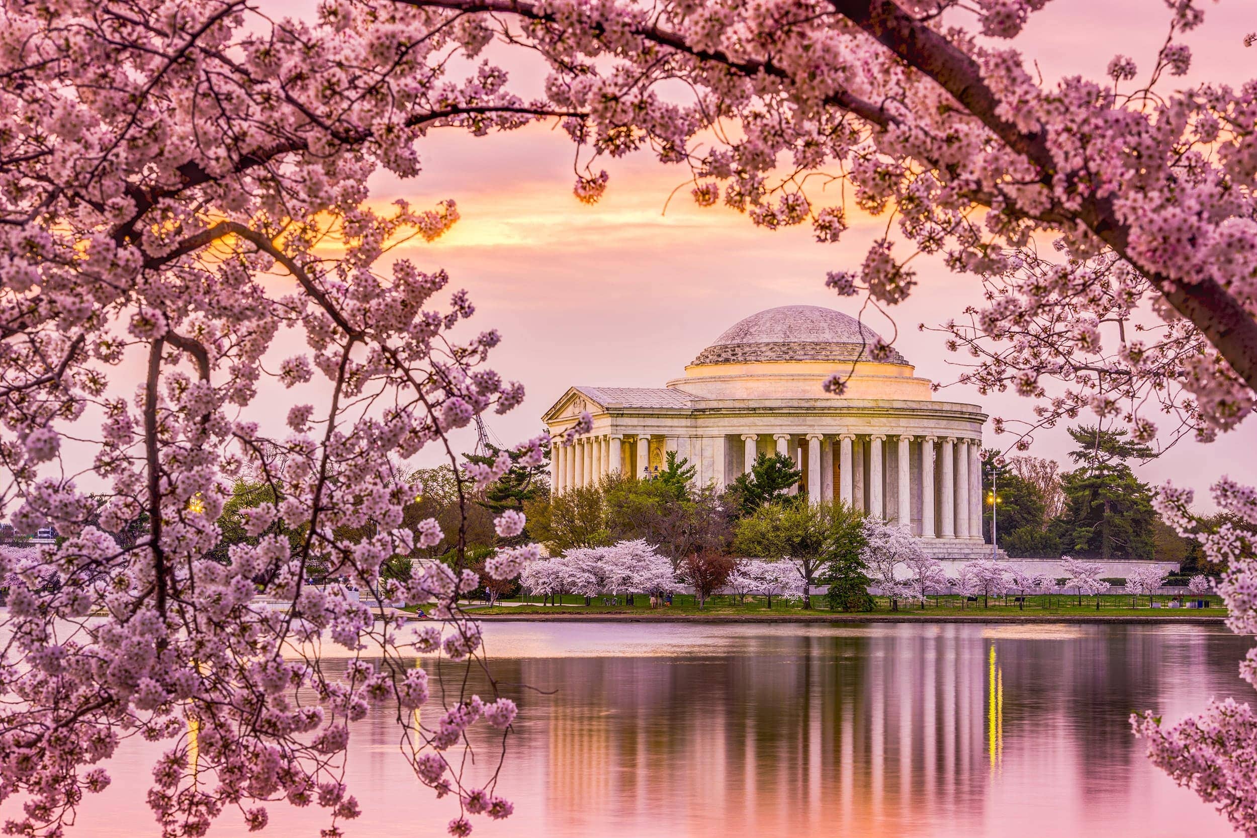 washington d.c Washington D.C đẹp nhất vào mùa xuân, khi muôn hoa khoe sắc và thời tiết mát lành